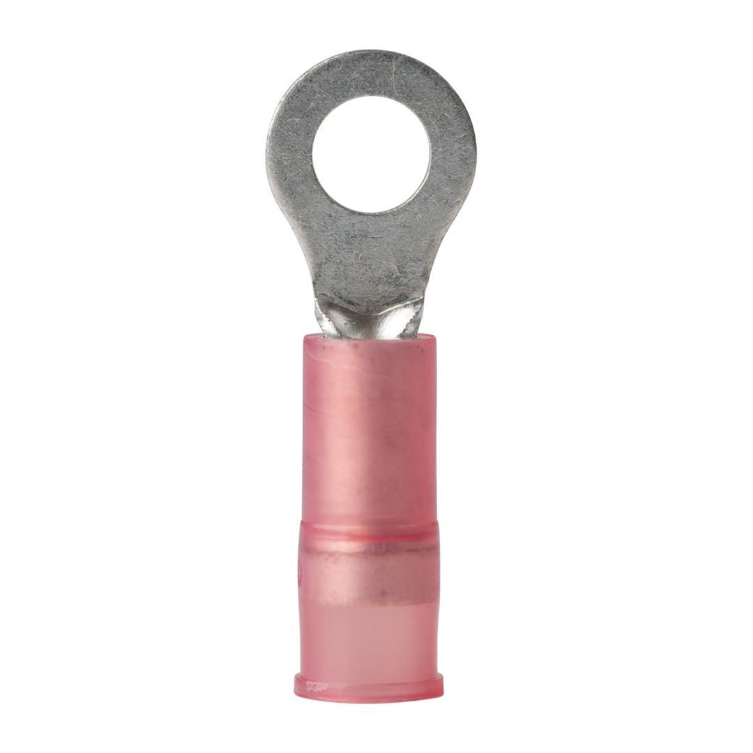 ANCOR 230202 Marine Grade Electrical Nylon Insulated Double Crip Funnel Entry Ring Terminals with Insulation Grip (22 to 18-Gauge, Size 8 Screw, 6-Pack) - High quality product image showing ANCOR 230202 Marine Grade Electrical Nylon Insulated Double Crip Funnel Entry Ring Terminals with Insulation Grip (22 to 18-Gauge, Size 8 Screw, 6-Pack) details and features