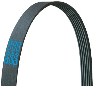 DAYCO 5040571K1 Serpentine Belt - High quality product image showing DAYCO 5040571K1 Serpentine Belt details and features