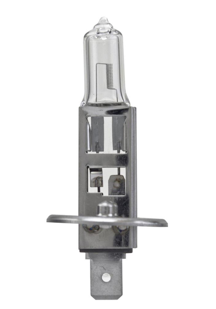 HELLA 002089541 BULB H1 12V 55W P14.5S T2.5 +50, H1 Bulb; Halogen; 55 Watt; 12 Volt; White Beam Color; 1700 Lumens; Single - High quality product image showing HELLA 002089541 BULB H1 12V 55W P14.5S T2.5 +50, H1 Bulb; Halogen; 55 Watt; 12 Volt; White Beam Color; 1700 Lumens; Single details and features