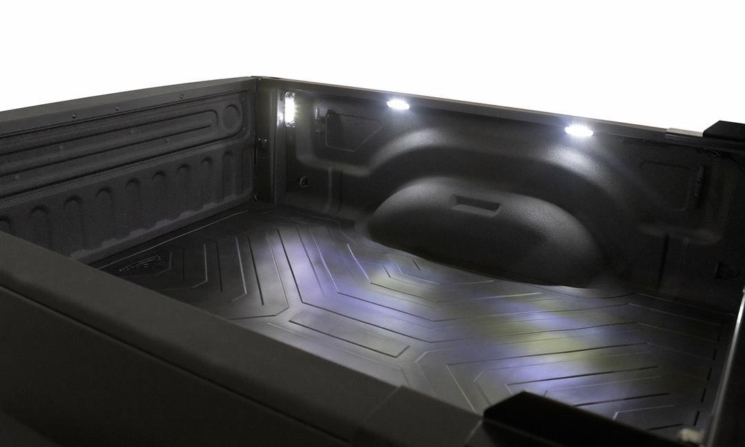 LUND 54300 NightFX Guide Lights for 2015-2019 Ford F-150/F-250/F-350, Black - High quality product image showing LUND 54300 NightFX Guide Lights for 2015-2019 Ford F-150/F-250/F-350, Black details and features