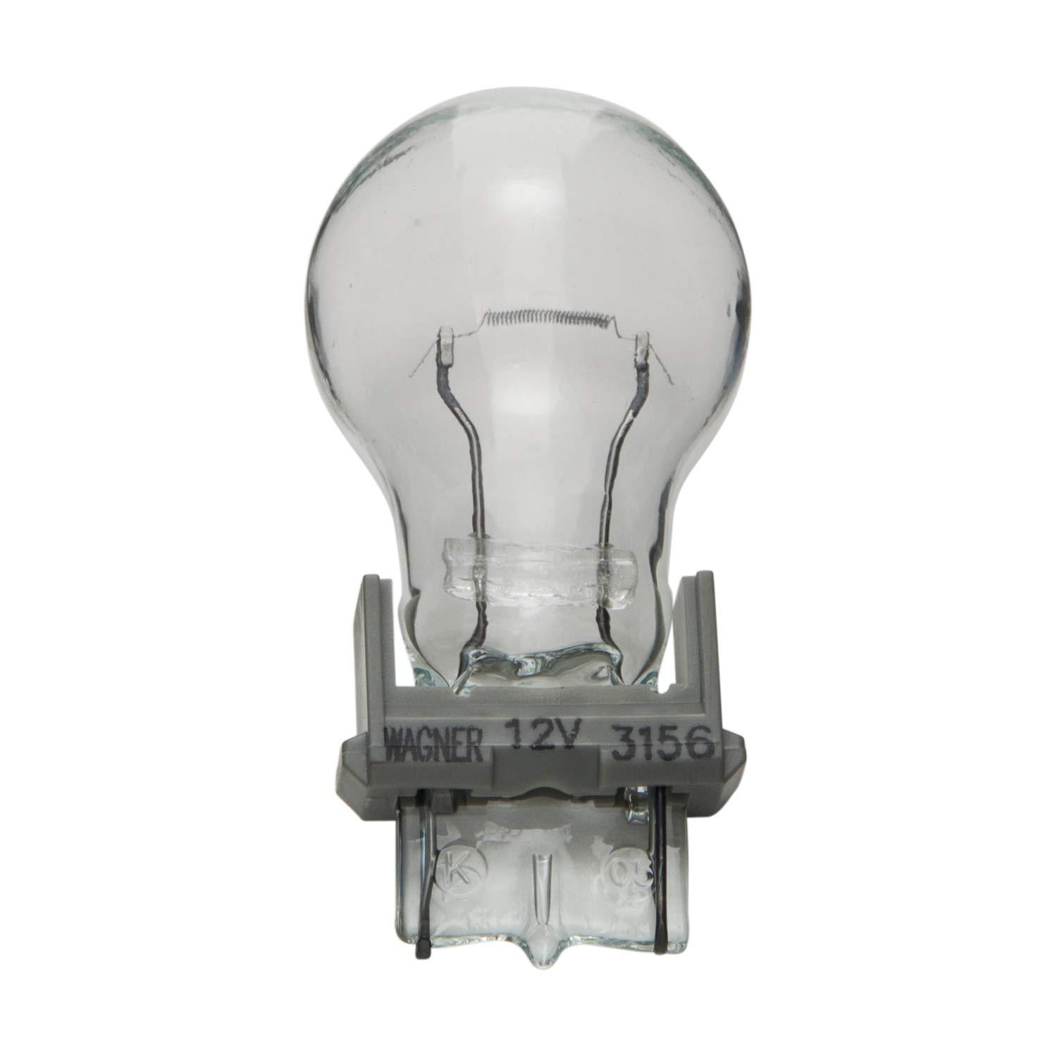 WAGNER 3156 Lighting Standard Multi-Purpose Light Bulb (Case of 10) - High quality product image showing WAGNER 3156 Lighting Standard Multi-Purpose Light Bulb (Case of 10) details and features