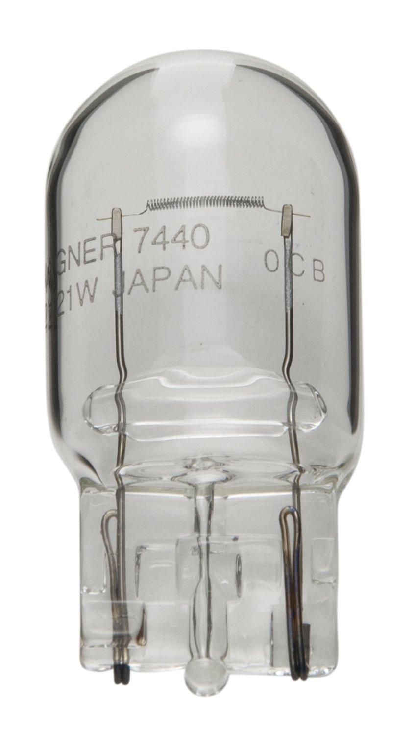 WAGNER 7440 Lighting T-6 Bulb 3/4 INCH (19mm) Diameter (Case of 10) - High quality product image showing WAGNER 7440 Lighting T-6 Bulb 3/4 INCH (19mm) Diameter (Case of 10) details and features
