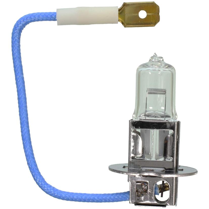 WAGNER BP1210/H3 Lighting Multi-Purpose Light Bulb Card of 1