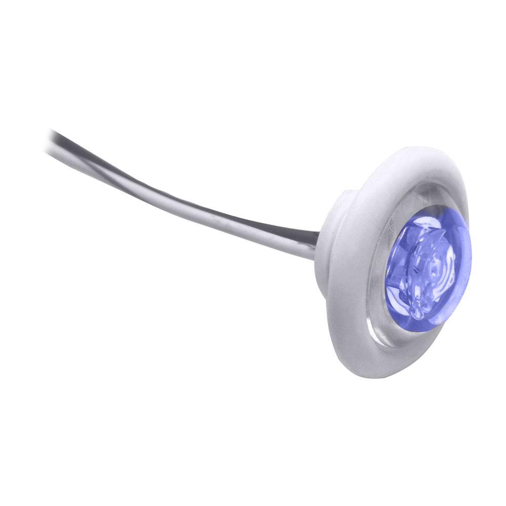 INNOVATIVE LIGHTING 011-2540-7 LED BULKHEAD/LIVEWELL LIGHT INCHTHE SHORTIE INCH BLUE LED WITH WHITE GROMMET - High quality product image showing INNOVATIVE LIGHTING 011-2540-7 LED BULKHEAD/LIVEWELL LIGHT INCHTHE SHORTIE INCH BLUE LED WITH WHITE GROMMET details and features