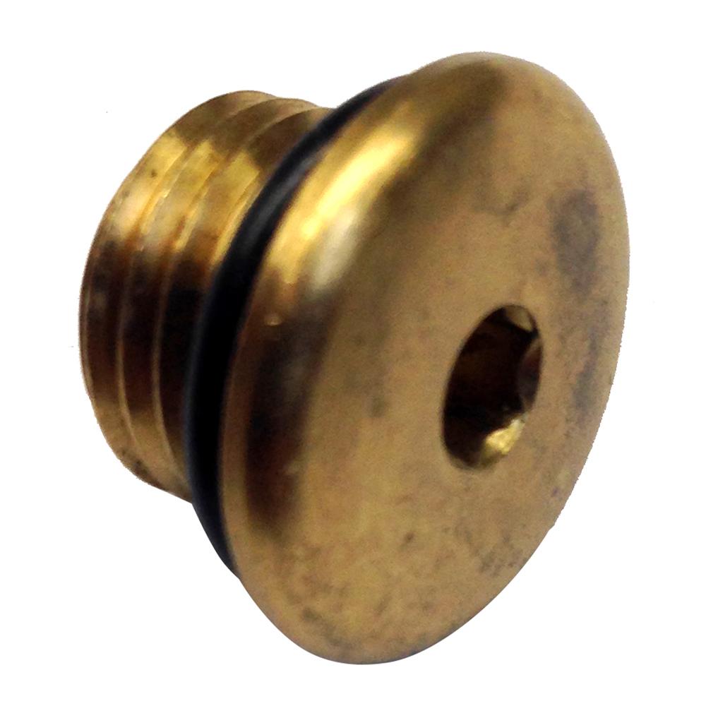 UFLEX 71928P BRASS PLUG WITH O-RING FOR PUMPS - High quality product image showing UFLEX 71928P BRASS PLUG WITH O-RING FOR PUMPS details and features