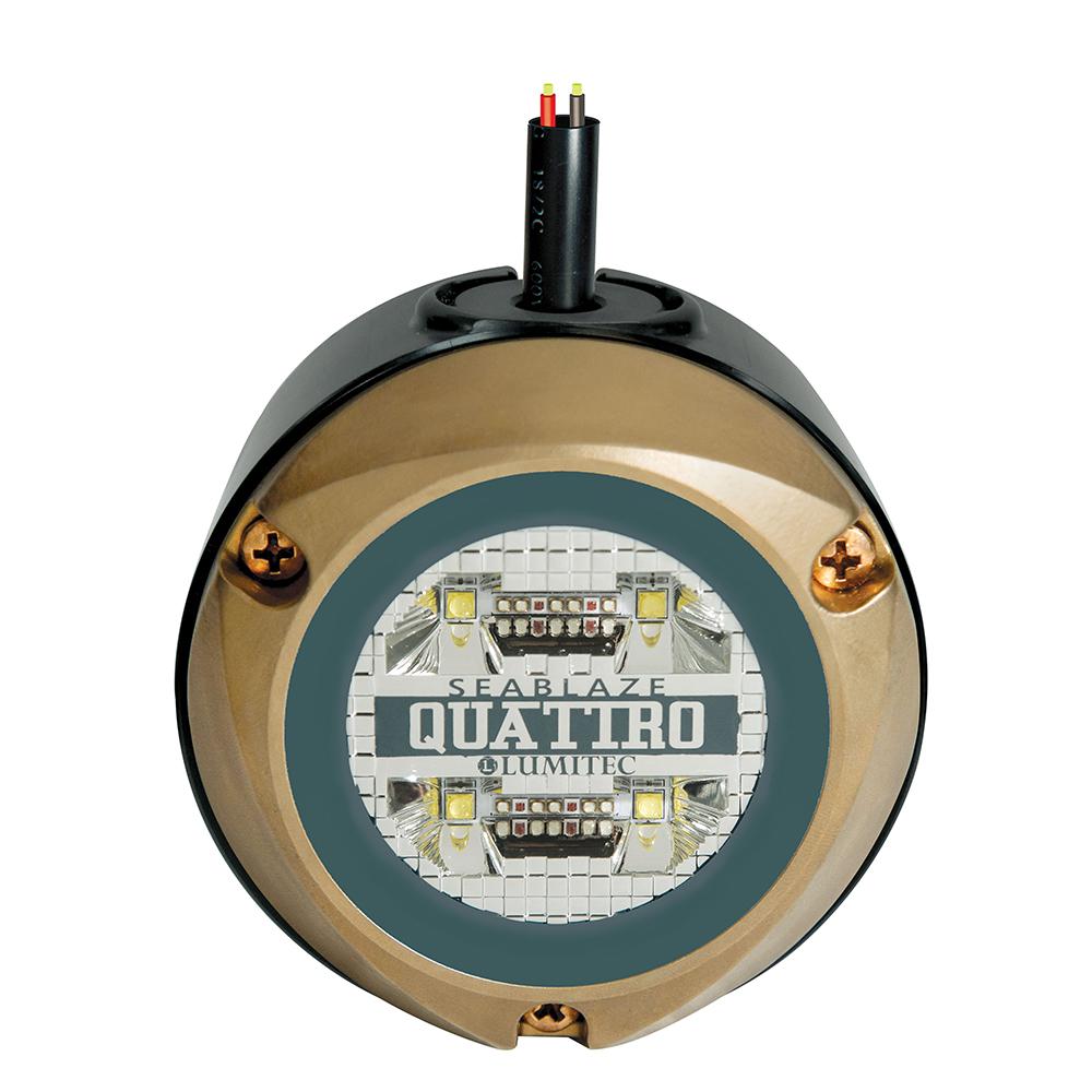 LUMITEC 101526 MANTIS UNDERWATER DOCK LIGHT ADD ON LIGHT - High quality product image showing LUMITEC 101526 MANTIS UNDERWATER DOCK LIGHT ADD ON LIGHT details and features