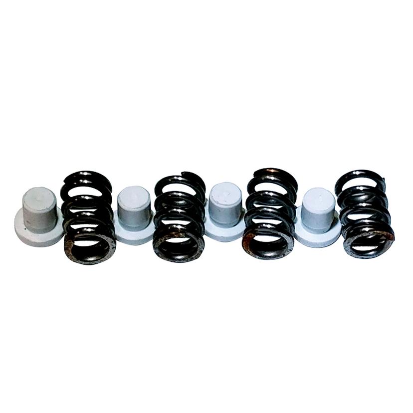 MAXWELL P101550 PLUNGER/SPRING KIT - 2200-4500