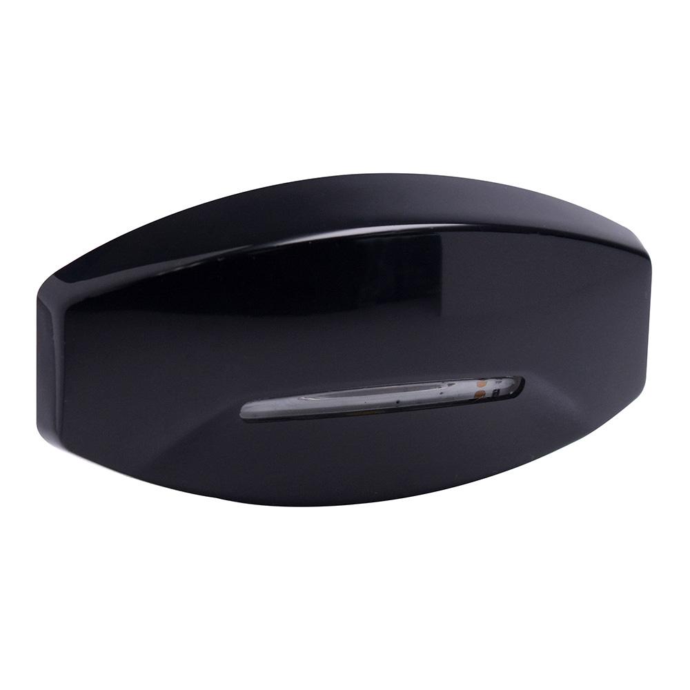LUMITEC 101755 FIJI COURTESY LIGHT INDIRECT RGBW BLACK HOUSING - High quality product image showing LUMITEC 101755 FIJI COURTESY LIGHT INDIRECT RGBW BLACK HOUSING details and features