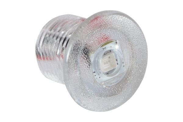 LUMITEC 101240 Newt Courtesy/Accent Warm White LED Light Clear Finish 12v - High quality product image showing LUMITEC 101240 Newt Courtesy/Accent Warm White LED Light Clear Finish 12v details and features