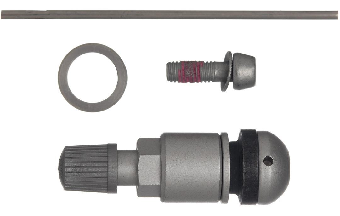 SCHRADER 20037 TPMS Service Pack Silver Insert fits Audi BMW Hyundai Kia Mercedes Porsche VW, single unit from The Twister Group SCHRADER 20037 TPMS Service Pack Silver Insert fits Audi BMW Hyundai Kia Mercedes Porsche VW, single unit - The Twister Group Tools product