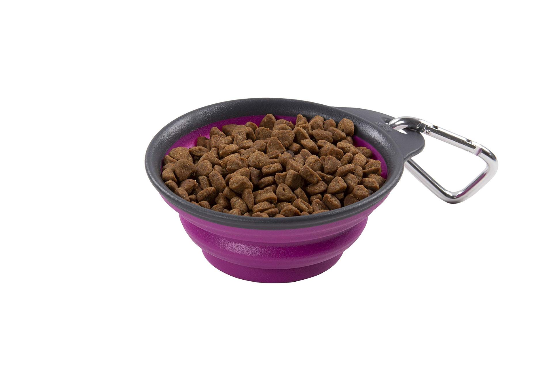 DEXAS PW2004322405 Pets Collapsible Travel Cup, Small/1 Cup Capacity, Fuchsia - High quality product image showing DEXAS PW2004322405 Pets Collapsible Travel Cup, Small/1 Cup Capacity, Fuchsia details and features DEXAS PW2004322405 Pets Collapsible Travel Cup, Small/1 Cup Capacity, Fuchsia - High quality product image showing DEXAS PW2004322405 Pets Collapsible Travel Cup, Small/1 Cup Capacity, Fuchsia details and features